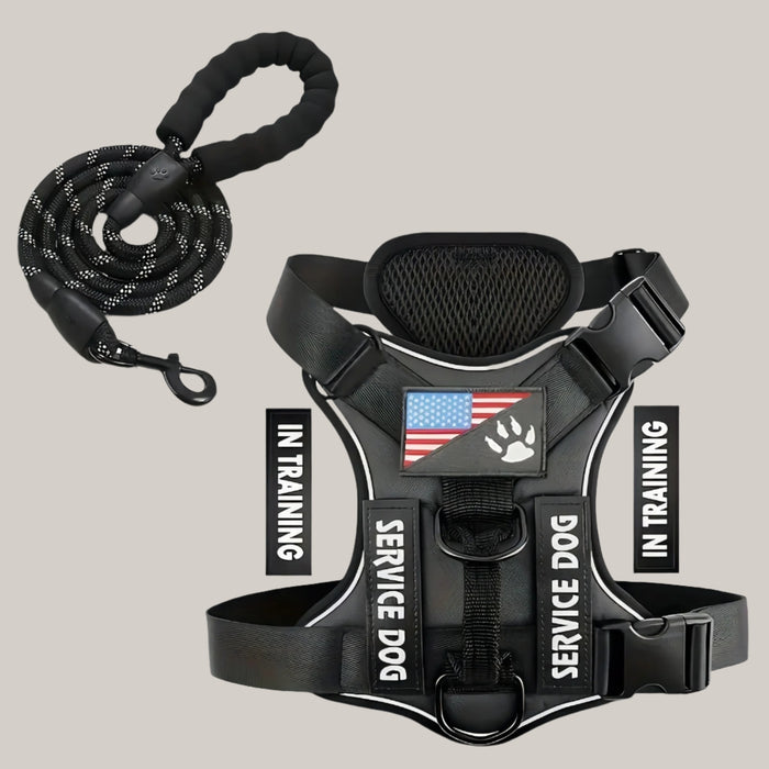 Dog Chest Harness and Leash Set Black