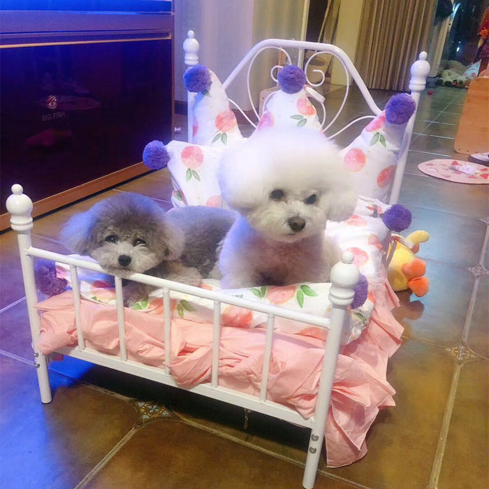 Dog and Cat Bed