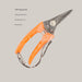 Floral Pruning Scissors – 175 mm, 2 Packaging Options Bulk Stainless Steel