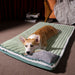 Warm Bed for Dogs and Cats Matcha color