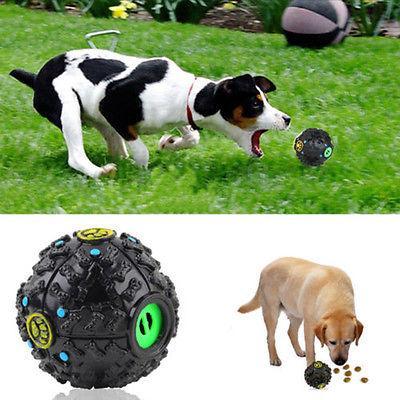 Pet Dog Treat Trainning