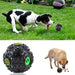 Pet Dog Treat Trainning