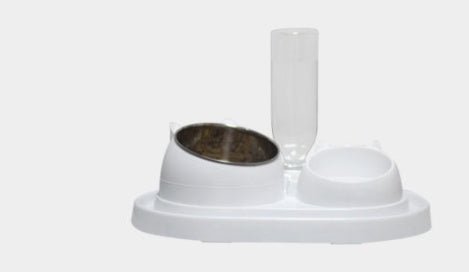 Pet Food and Water Bowl
