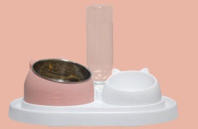 Pet Food and Water Bowl