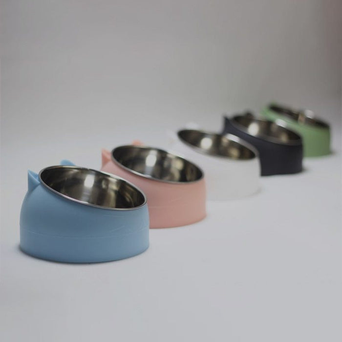 Pet Food and Water Bowl