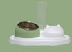 Pet Food and Water Bowl