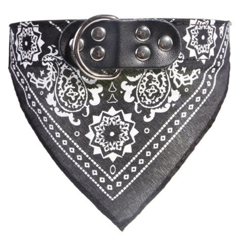 Personalized Lettered Dog Collar Black1