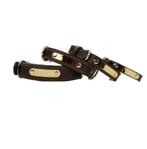 Personalized Lettered Dog Collar Coffee