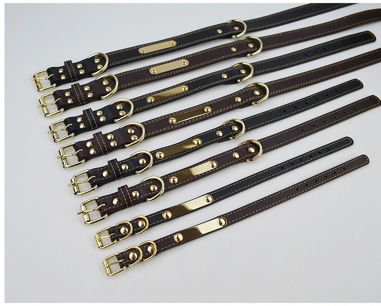 Pet lettering dog collar