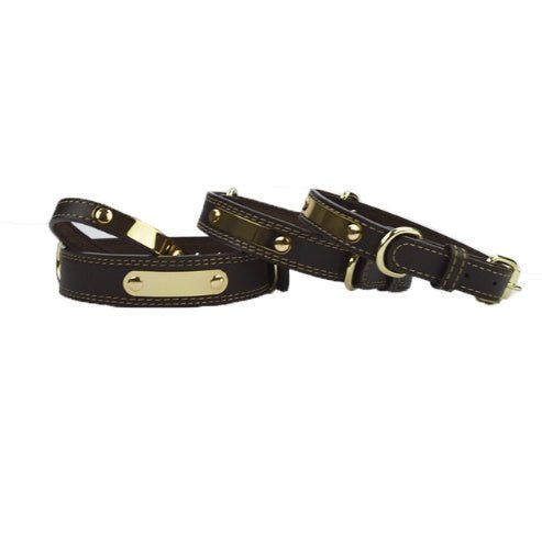 Personalized Lettered Dog Collar Black