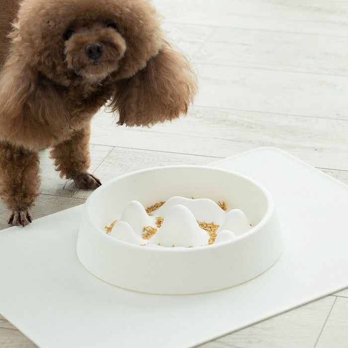 Slow-Feeder Bowl for Pets