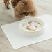 Pet Slow Food Bowl White