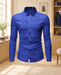 Royal blue tuxedo shirt with pleated front and long sleeves displayed in a softly lit dressing room.