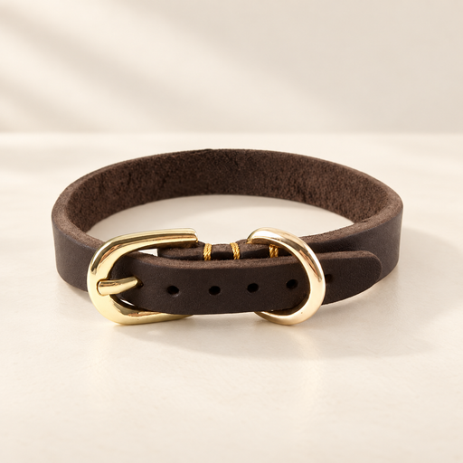 Brown leather collar with gold buckle on ivory tabletop