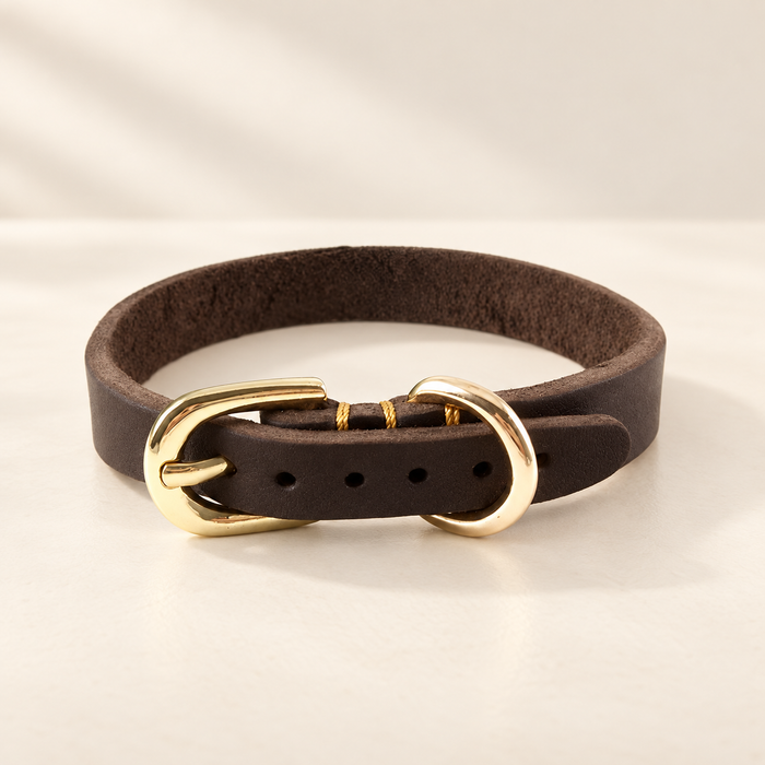 Brown leather collar with gold buckle on ivory tabletop