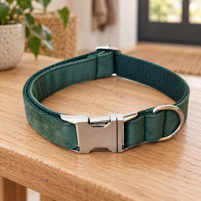 Dark green dog collar with a silver buckle and ring on a wooden bench.