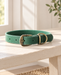 Green stitched dog collar with antique-brass buckle and D-ring on a pale wooden bench.