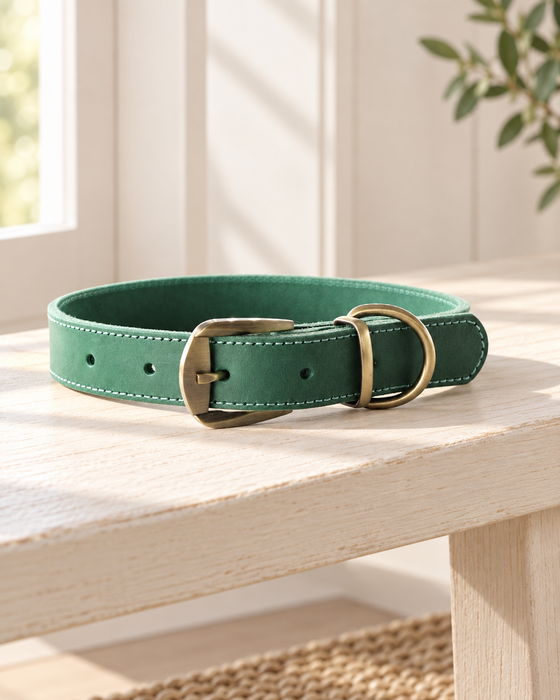 Green stitched dog collar with antique-brass buckle and D-ring on a pale wooden bench.