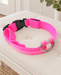 Bright pink dog collar with a black buckle and silver D ring on an ivory bench.