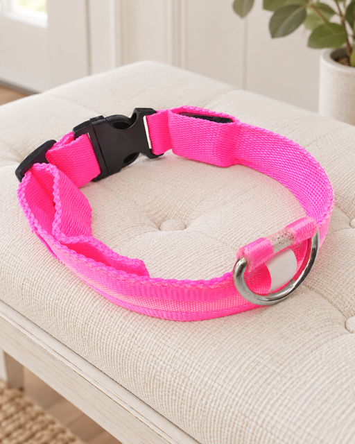 Bright pink dog collar with a black buckle and silver D ring on an ivory bench.