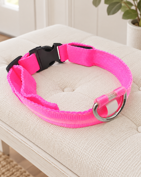 Bright pink dog collar with a black buckle and silver D ring on an ivory bench.