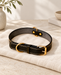 Black pet collar with gold-tone rings and buckle, contrasting stitching and a grey lining on ivory linen.