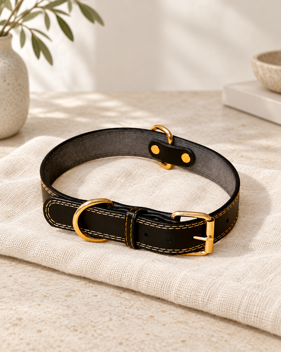 Black pet collar with gold-tone rings and buckle, contrasting stitching and a grey lining on ivory linen.