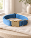 Blue velvet pet collar with a gold-tone clasp and D-ring on ivory linen.
