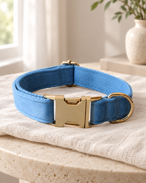 Blue velvet pet collar with a gold-tone clasp and D-ring on ivory linen.