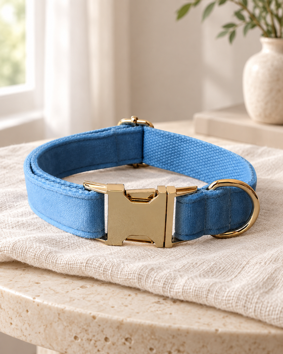 Blue velvet pet collar with a gold-tone clasp and D-ring on ivory linen.