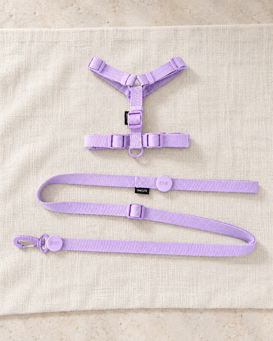 Lavender pet harness and matching leash with adjustable straps, round accents and a swivel clip on ivory linen.