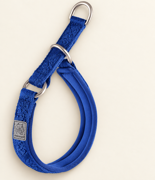 Royal blue padded dog collar with three metal rings and a woven dog label on an ivory surface.