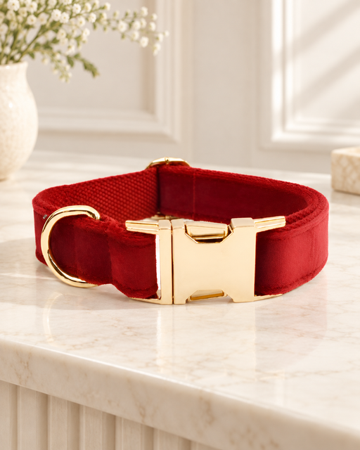 Red dog collar with gold-tone buckle on an ivory console.