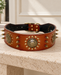Wide brown dog collar with gold floral medallions and conical studs on a pale stone bench.
