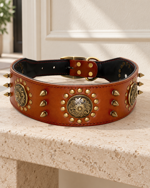 Wide brown dog collar with gold floral medallions and conical studs on a pale stone bench.