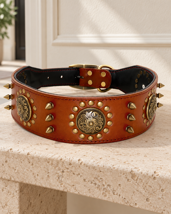 Wide brown dog collar with gold floral medallions and conical studs on a pale stone bench.