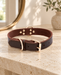 Dark brown dog collar with gold buckle and rings on a pale stone console.