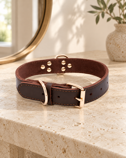 Dark brown dog collar with gold buckle and rings on a pale stone console.