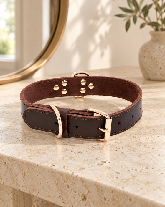 Dark brown dog collar with gold buckle and rings on a pale stone console.
