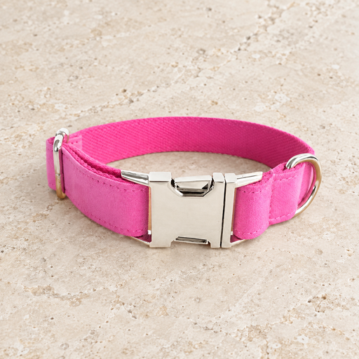 Pink dog collar with a silver buckle and D ring on an ivory floor.