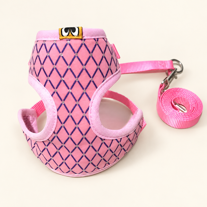 Pet harness or collar and matching leash on warm ivory background