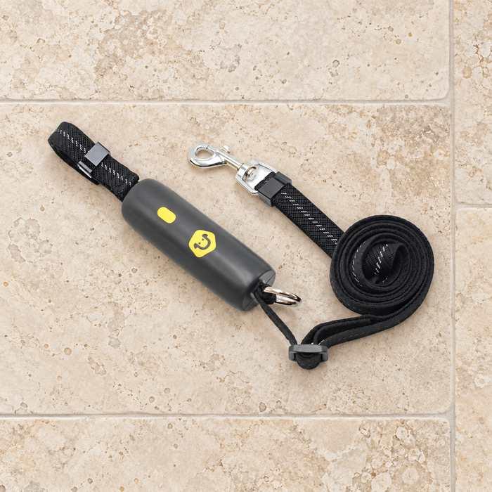 Black handheld dog leash with a coiled reflective strap and silver clasp on an ivory floor.