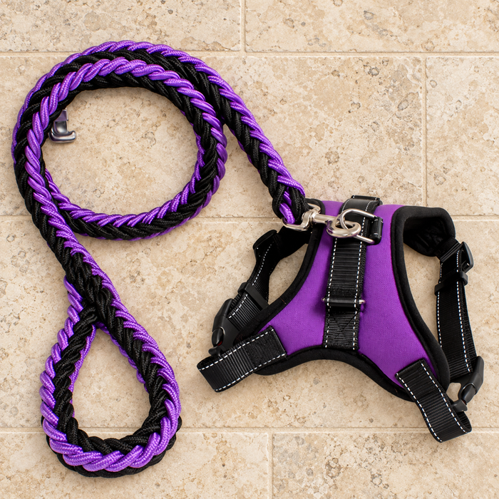 Purple and black dog harness with a braided leash on an ivory floor.