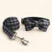 Pet harness or collar and matching leash on warm ivory background