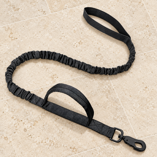 Black elastic dog training leash with two handles and a swivel clasp on ivory stone.