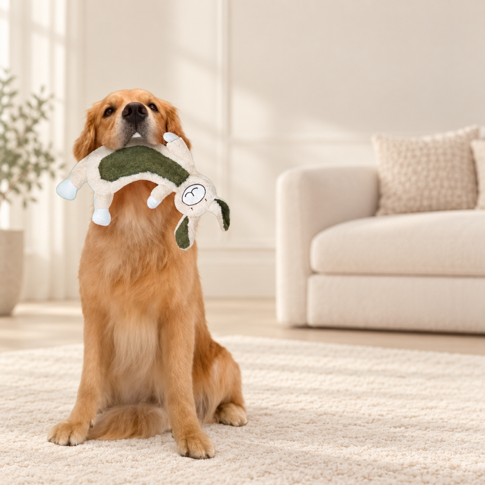 Golden dog holding cream and green rabbit toy in an ivory interior