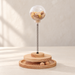 Wooden cat treat dispenser with clear globe and spring above a circular ball track