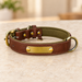 Brown leather dog collar with a blank gold plate and olive lining on pale stone