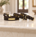 Dark brown collars with blank gold plates and gold hardware on an ivory console.