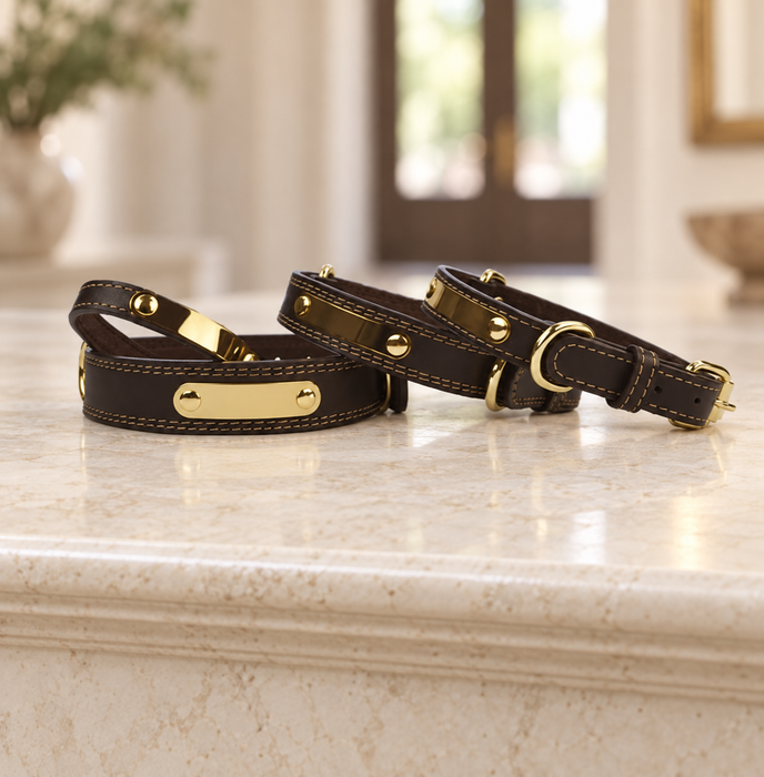 Dark brown collars with blank gold plates and gold hardware on an ivory console.